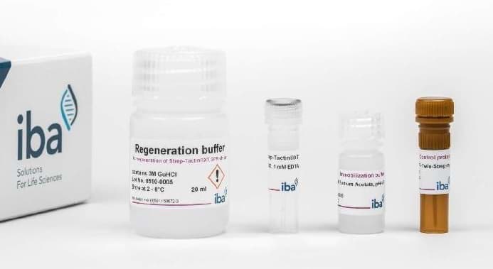Protein purification strep tactin Protein purification strep tactin