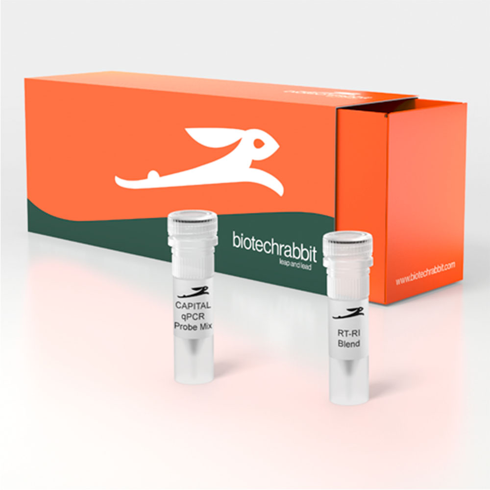 CAPITAL 1-Step qRT-PCR Probe Mix HRox, 4× (4000 rxn of 20 µl ...