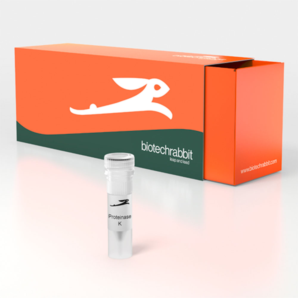 Picture of Proteinase K, solution (10 ml)