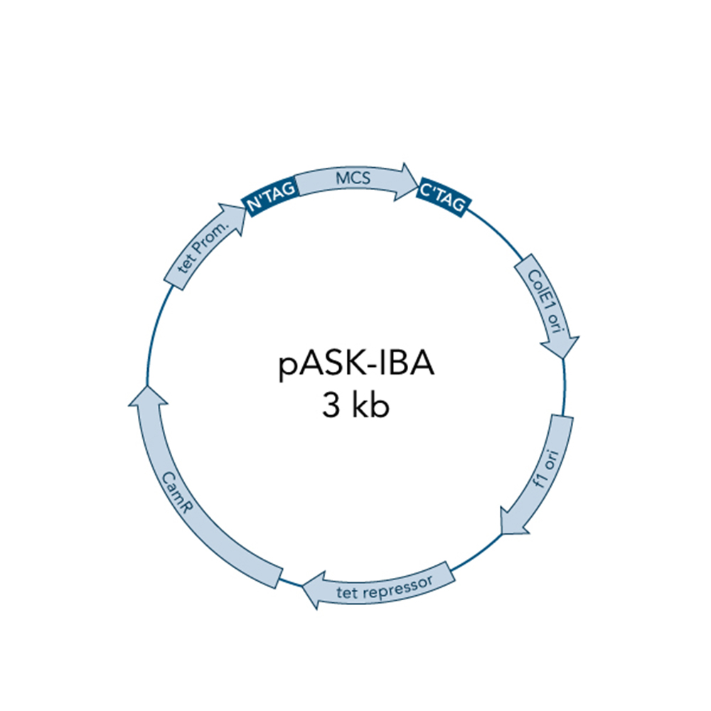 Picture of pASK-IBA4C 5 µg