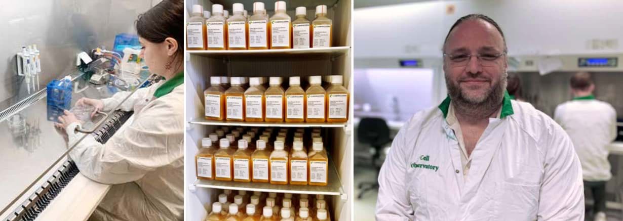 Leiden Cell Observatory switches to partly synthetic serum. Click the ...