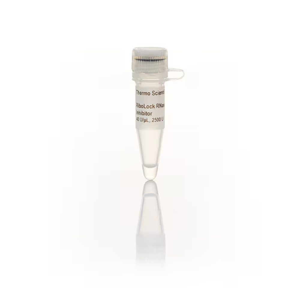 Picture of RiboLock RNase Inhibitor - 4 x 2500 U