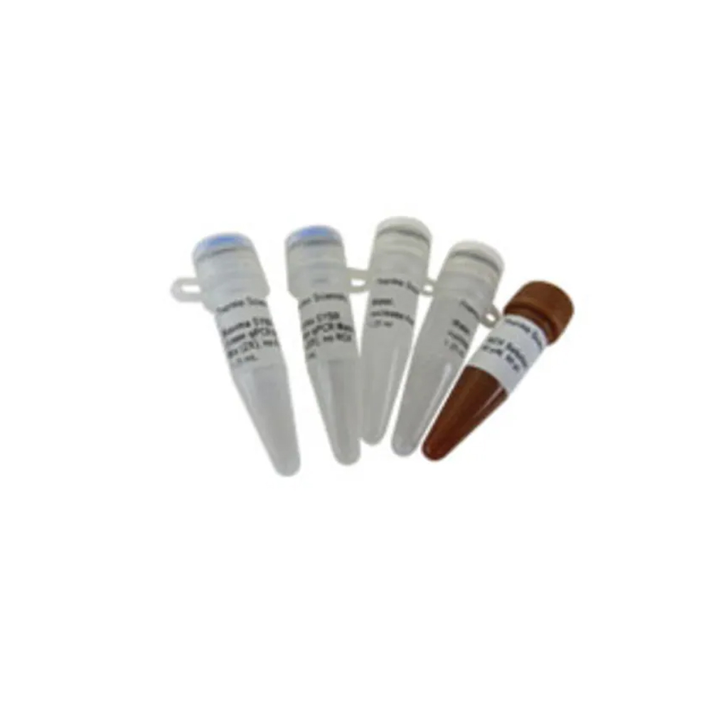 Picture of Maxima SYBR Green qPCR Master Mix, ROX Solution provided - 1,000 x 25 µL rxns