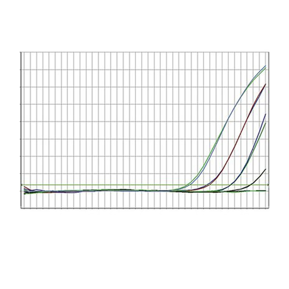Picture of Maxima Probe/ROX qPCR Master Mix - 1,000 x 25 µL rxns