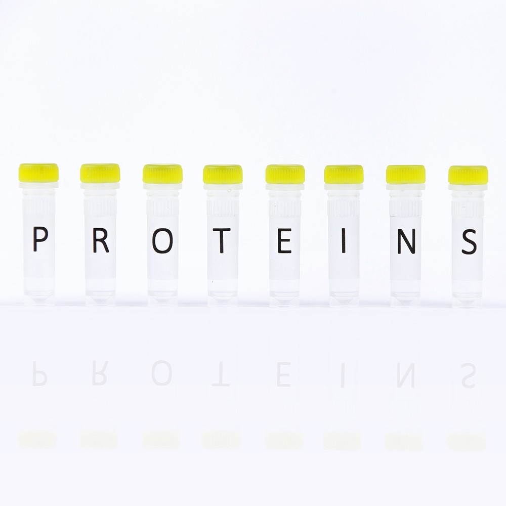 Picture for category Peptides & Proteins