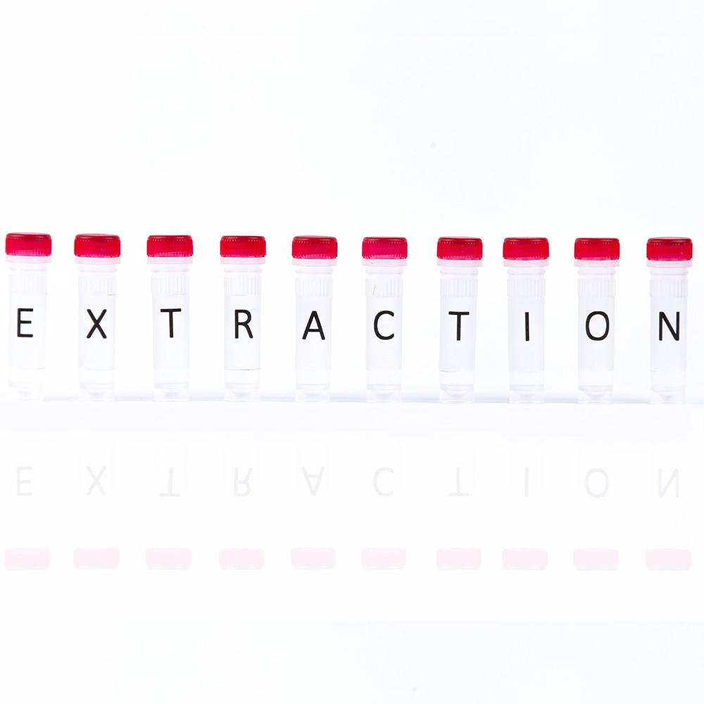 Picture of INSTANT Virus RNA/DNA Kit - 50 reactions