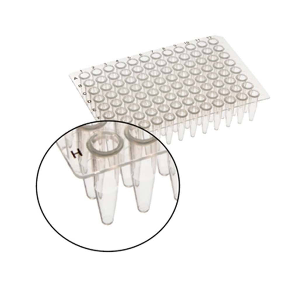 Picture of AmpliStar-II Non-skirted 96-well PCR Plate - 50x10