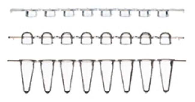 Picture of ABgene Strips of 8 Low Profile Tubes (White) & Ultra Clear Cap Strips (250)