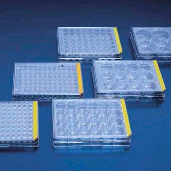 TPP tissue culture test plate 24 wells | 92124 92412