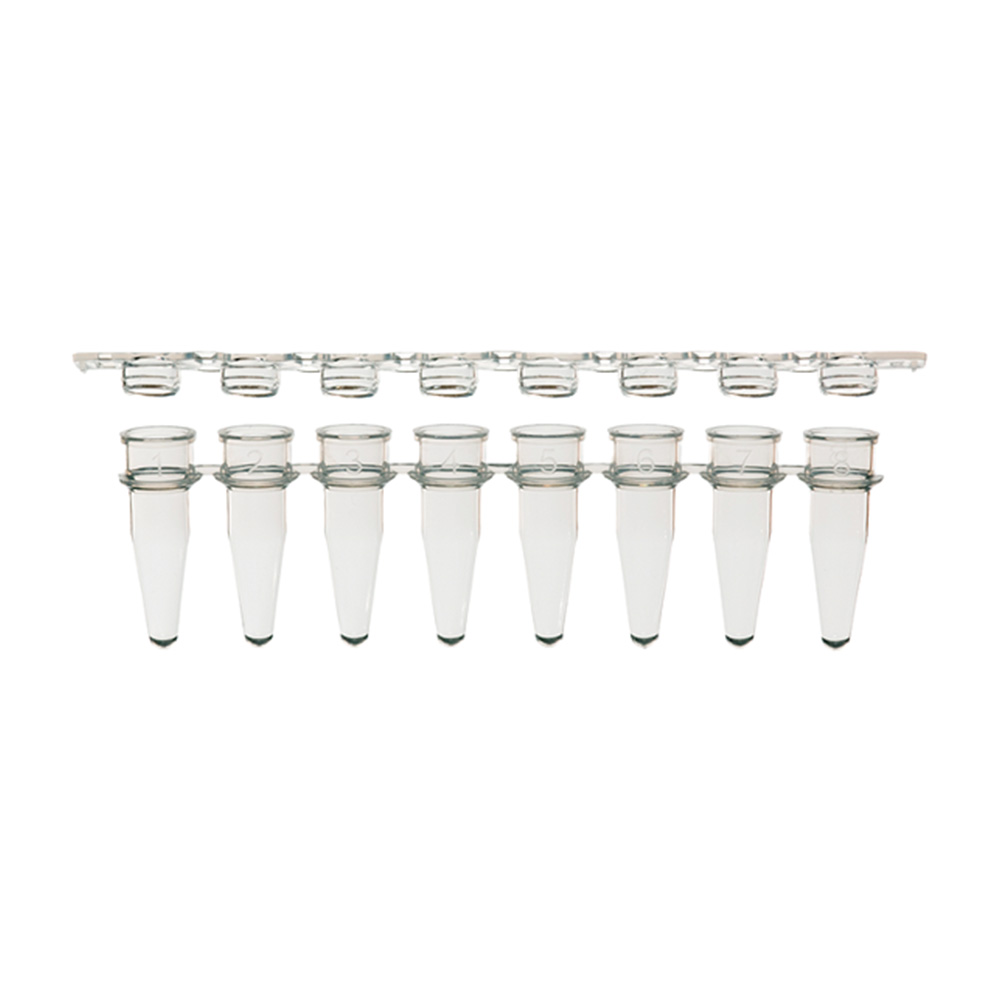 Picture of AmpliStar-II 8-Strip 0.2ml PCR Tubes and Optical Flat Caps - 125
