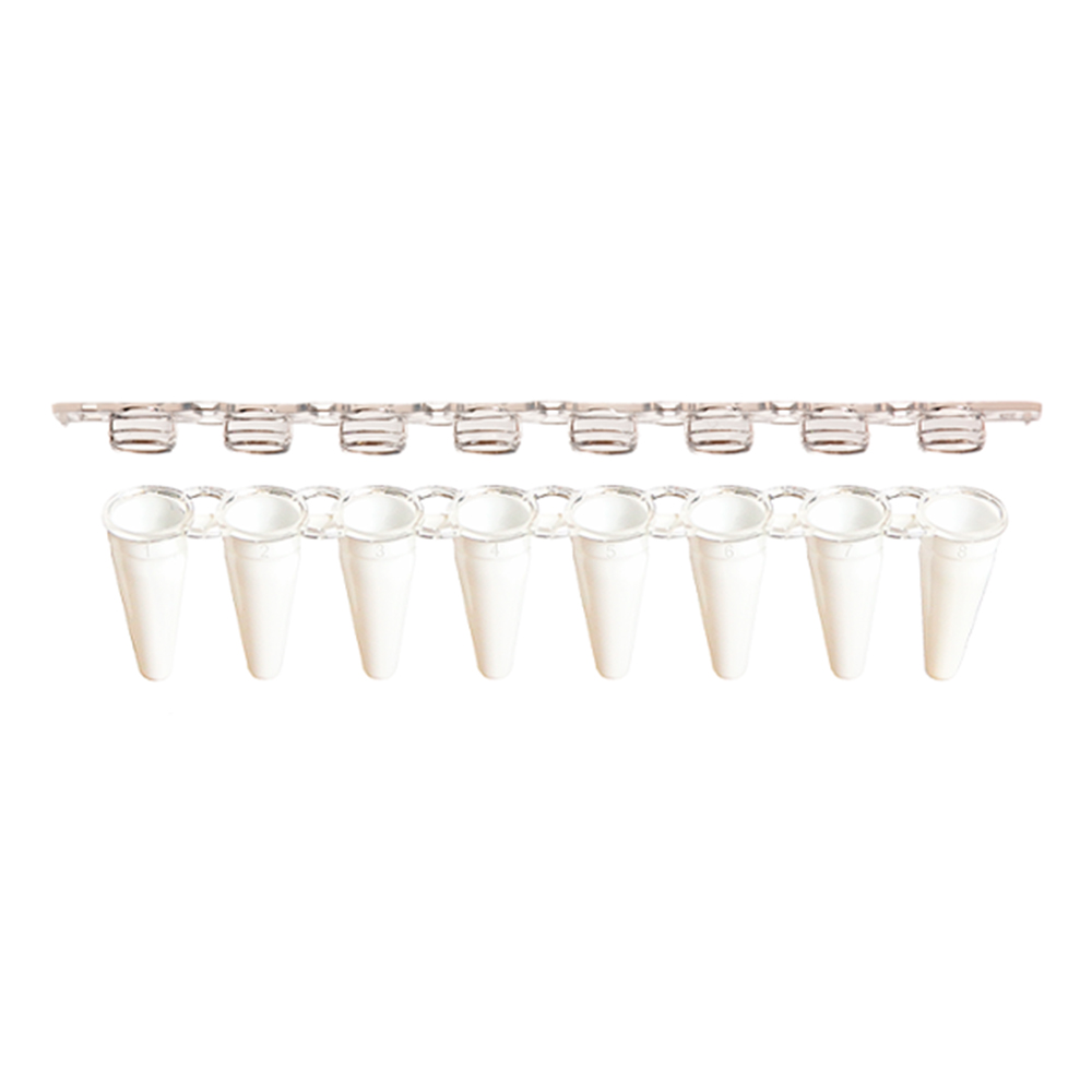 Picture of AmpliStar-II 8-Strip 0.1ml Low-Profile White PCR Tubes with Optical Flat Caps - 125