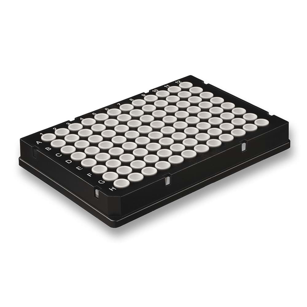 Picture of AmpliStar Rigid Frame Skirted Low Profile 96-well PCR Plate, Black frame, White wells (50)
